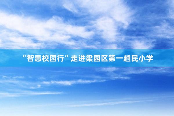 “智惠校园行”走进梁园区第一趟民小学