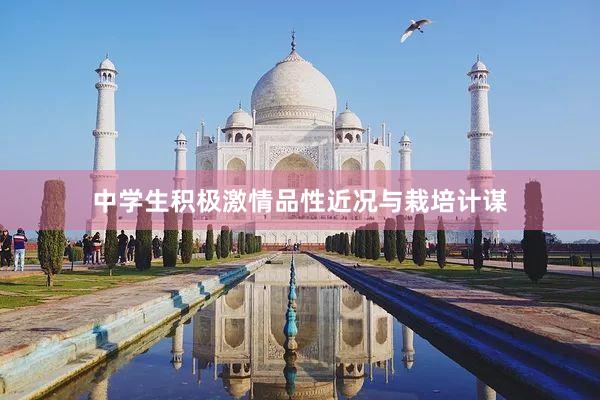 中学生积极激情品性近况与栽培计谋