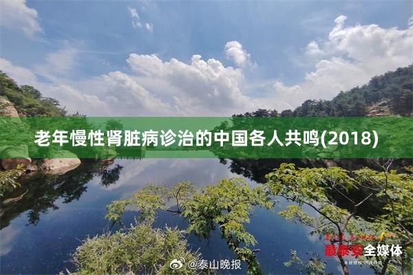 老年慢性肾脏病诊治的中国各人共鸣(2018)