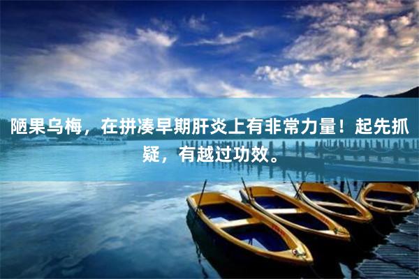 陋果乌梅，在拼凑早期肝炎上有非常力量！起先抓疑，有越过功效。