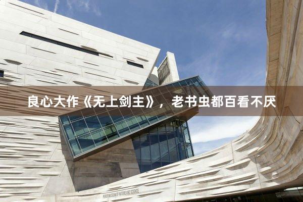 良心大作《无上剑主》，老书虫都百看不厌