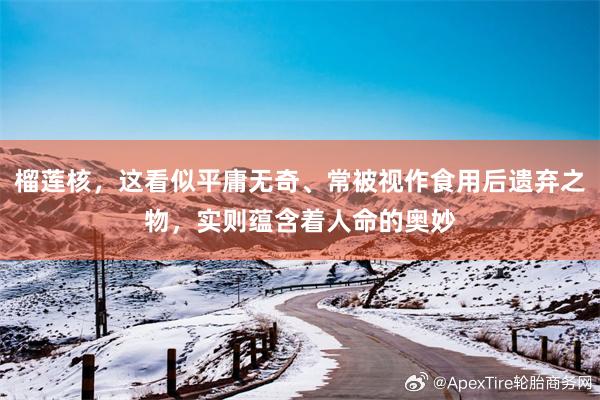榴莲核，这看似平庸无奇、常被视作食用后遗弃之物，实则蕴含着人命的奥妙