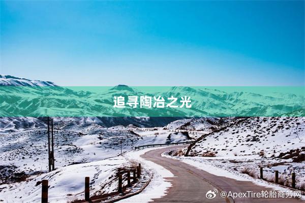 追寻陶冶之光