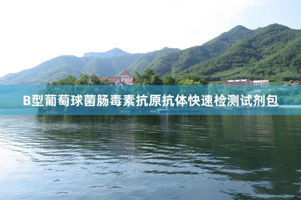 B型葡萄球菌肠毒素抗原抗体快速检测试剂包