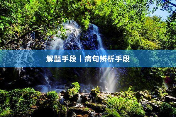 解题手段丨病句辨析手段
