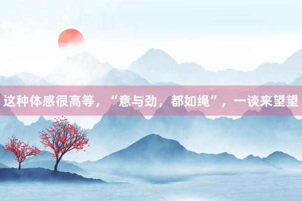 这种体感很高等，“意与劲，都如绳”，一谈来望望
