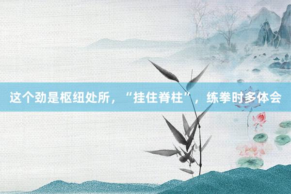 这个劲是枢纽处所，“挂住脊柱”，练拳时多体会