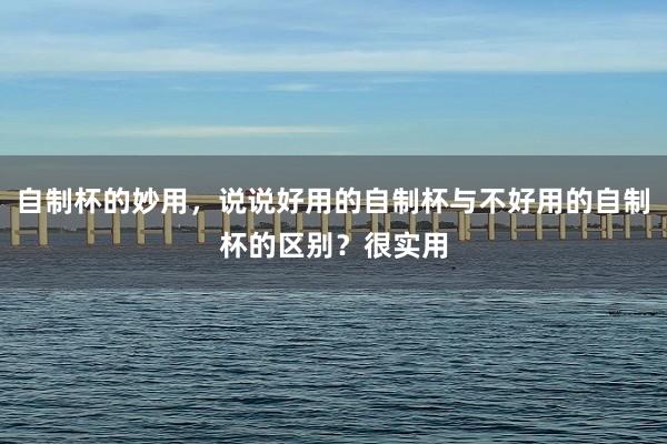 自制杯的妙用，说说好用的自制杯与不好用的自制杯的区别？很实用