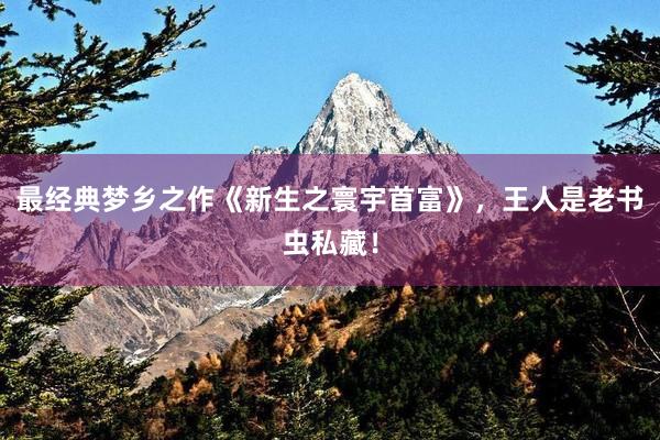 最经典梦乡之作《新生之寰宇首富》，王人是老书虫私藏！