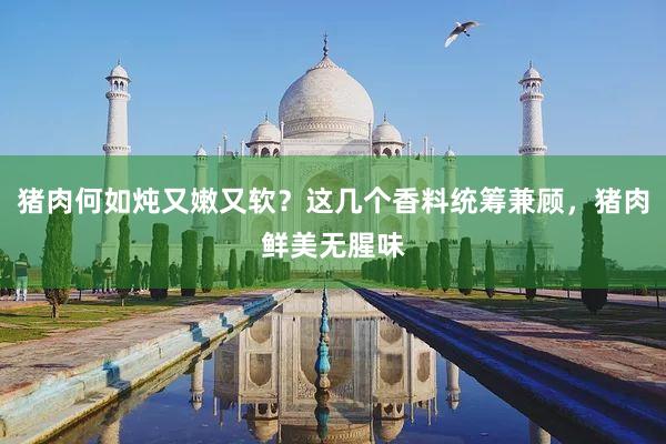 猪肉何如炖又嫩又软？这几个香料统筹兼顾，猪肉鲜美无腥味