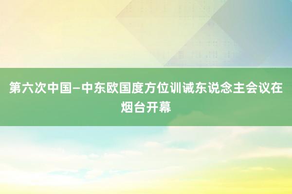 第六次中国—中东欧国度方位训诫东说念主会议在烟台开幕
