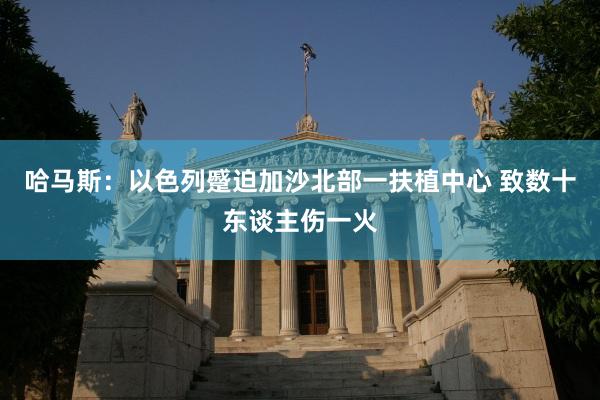 哈马斯：以色列蹙迫加沙北部一扶植中心 致数十东谈主伤一火