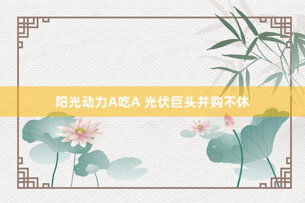 阳光动力A吃A 光伏巨头并购不休