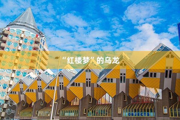 “红楼梦”的乌龙