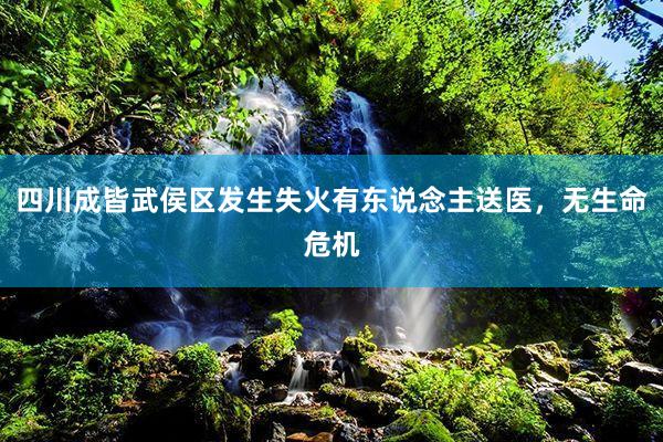 四川成皆武侯区发生失火有东说念主送医，无生命危机