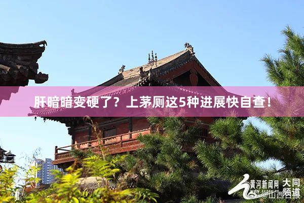 肝暗暗变硬了？上茅厕这5种进展快自查！