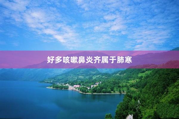 好多咳嗽鼻炎齐属于肺寒