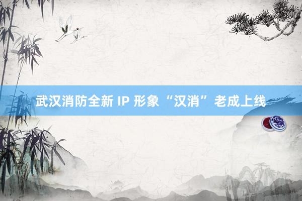 武汉消防全新 IP 形象 “汉消” 老成上线
