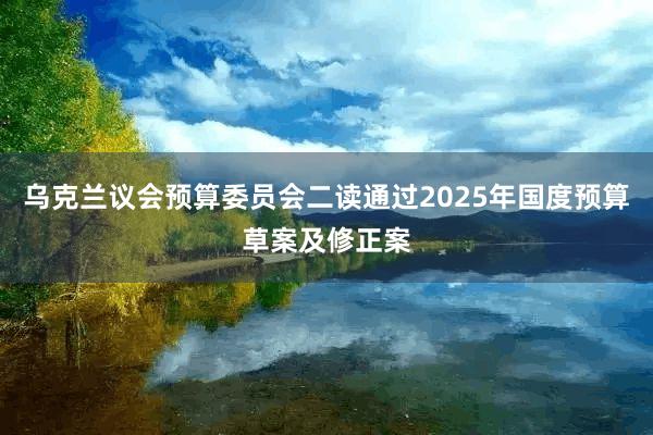 乌克兰议会预算委员会二读通过2025年国度预算草案及修正案