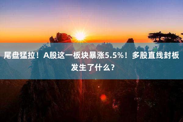 尾盘猛拉！A股这一板块暴涨5.5%！多股直线封板 发生了什么？