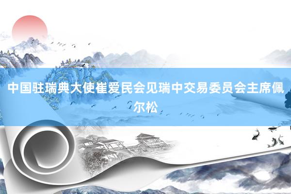 中国驻瑞典大使崔爱民会见瑞中交易委员会主席佩尔松