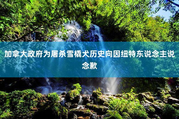 加拿大政府为屠杀雪橇犬历史向因纽特东说念主说念歉