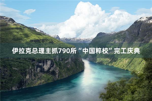 伊拉克总理主抓790所“中国粹校”完工庆典