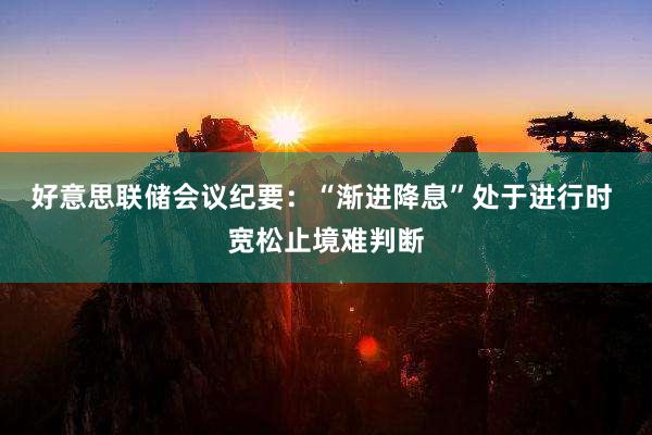 好意思联储会议纪要：“渐进降息”处于进行时 宽松止境难判断