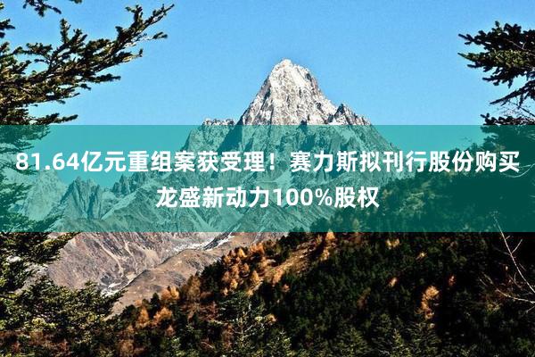 81.64亿元重组案获受理！赛力斯拟刊行股份购买龙盛新动力100%股权