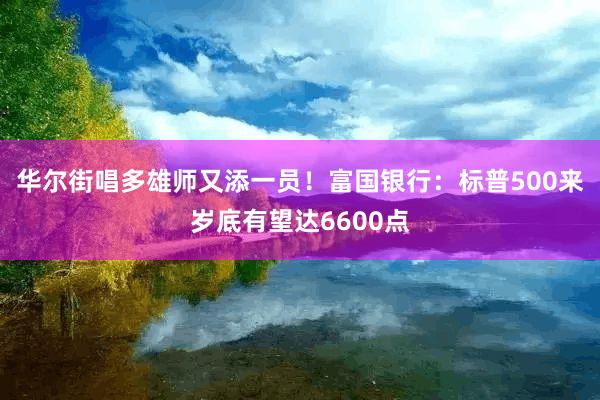 华尔街唱多雄师又添一员！富国银行：标普500来岁底有望达6600点