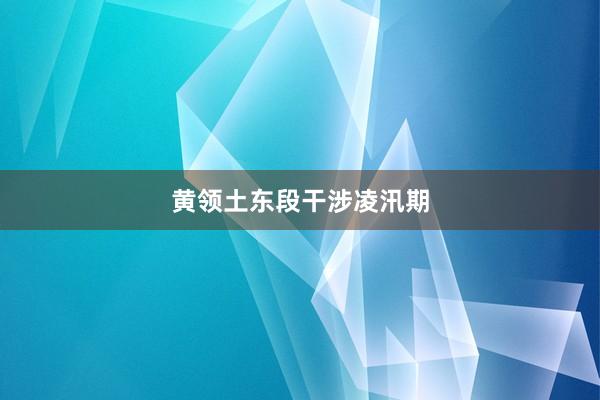 黄领土东段干涉凌汛期