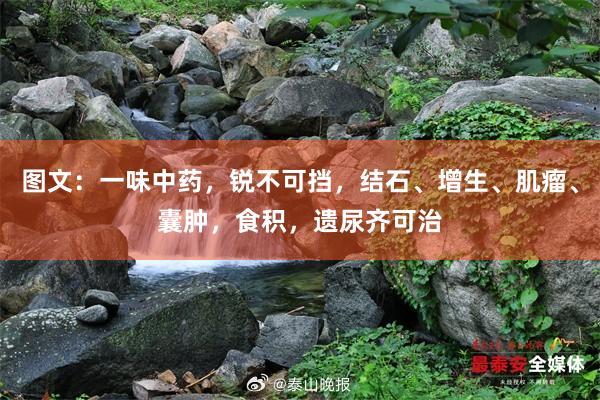 图文：一味中药，锐不可挡，结石、增生、肌瘤、囊肿，食积，遗尿齐可治