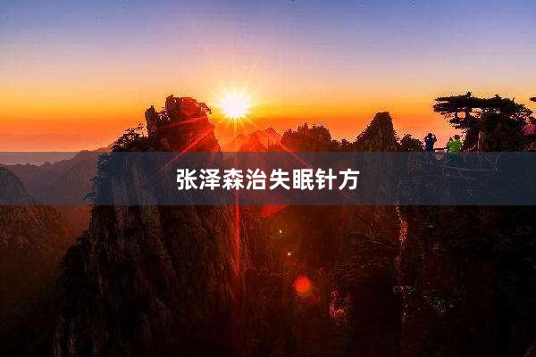 张泽森治失眠针方