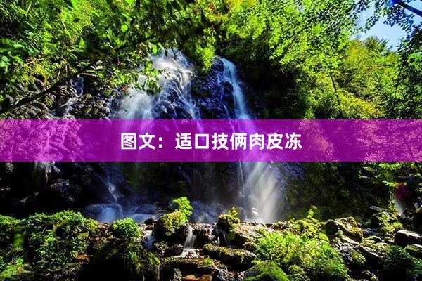 图文：适口技俩肉皮冻